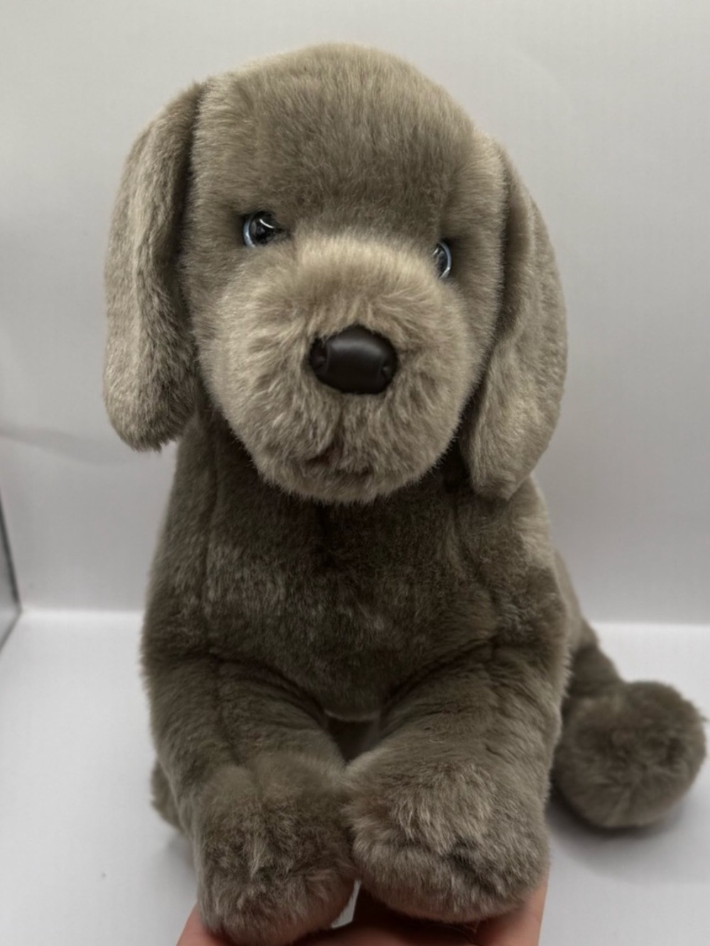 Retired Vintage Douglas Cassie The Weimaraner Dog Plush Stuffed Animal, plushie.